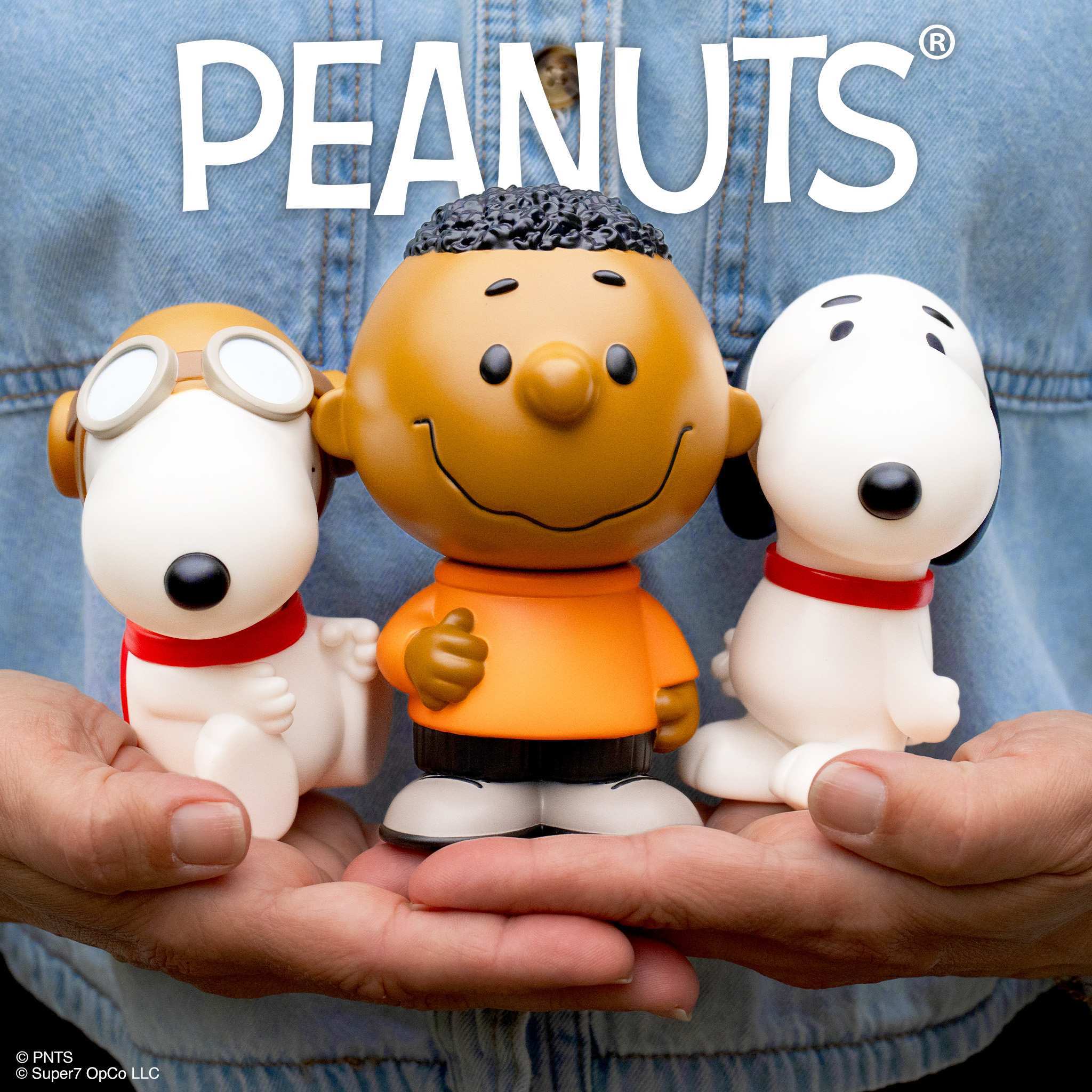 Peanuts FUN! FUN! Wave 02 - Franklin - Image 9
