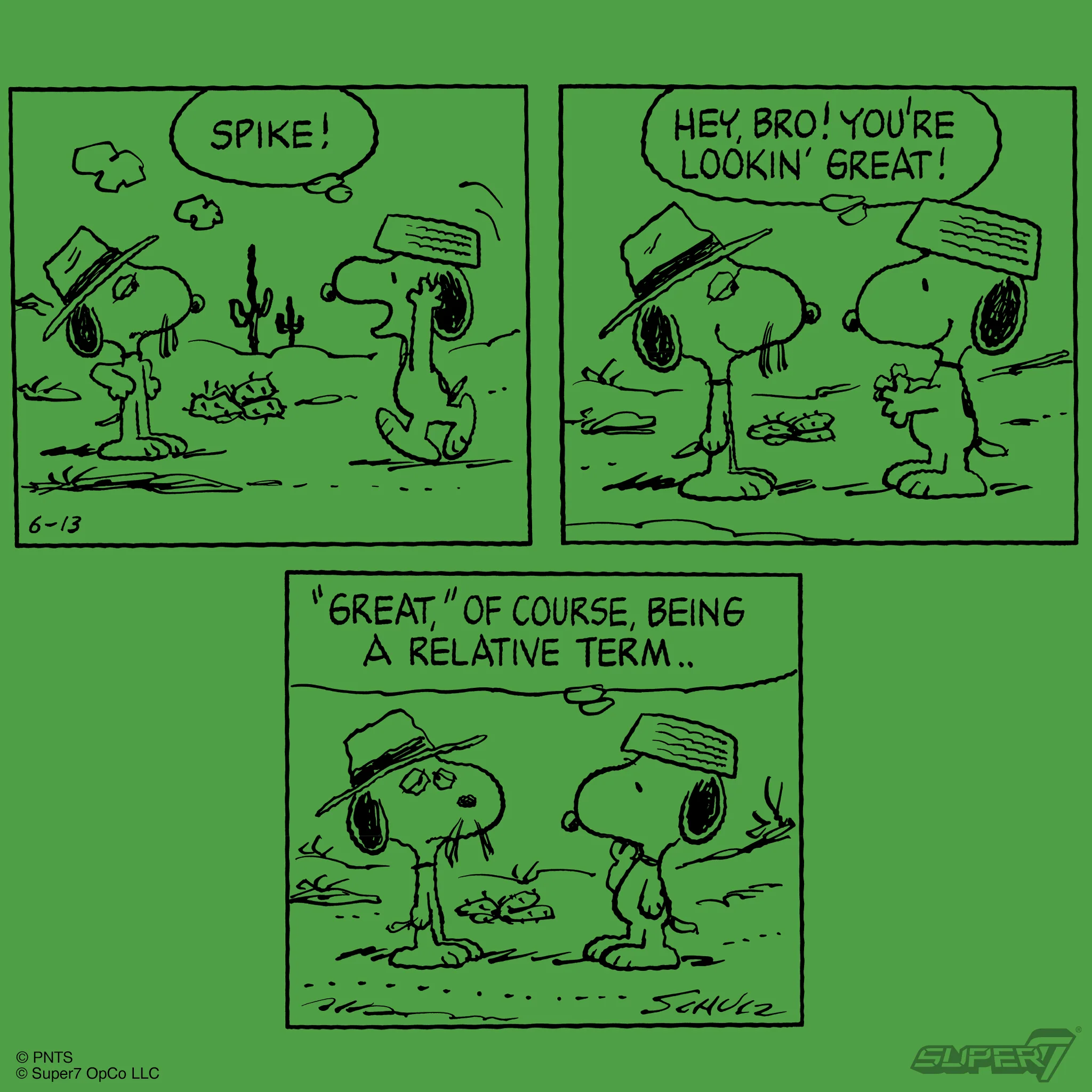 Peanuts ReAction Figures - Snoopy & Spike (2-Pack) - Image 6