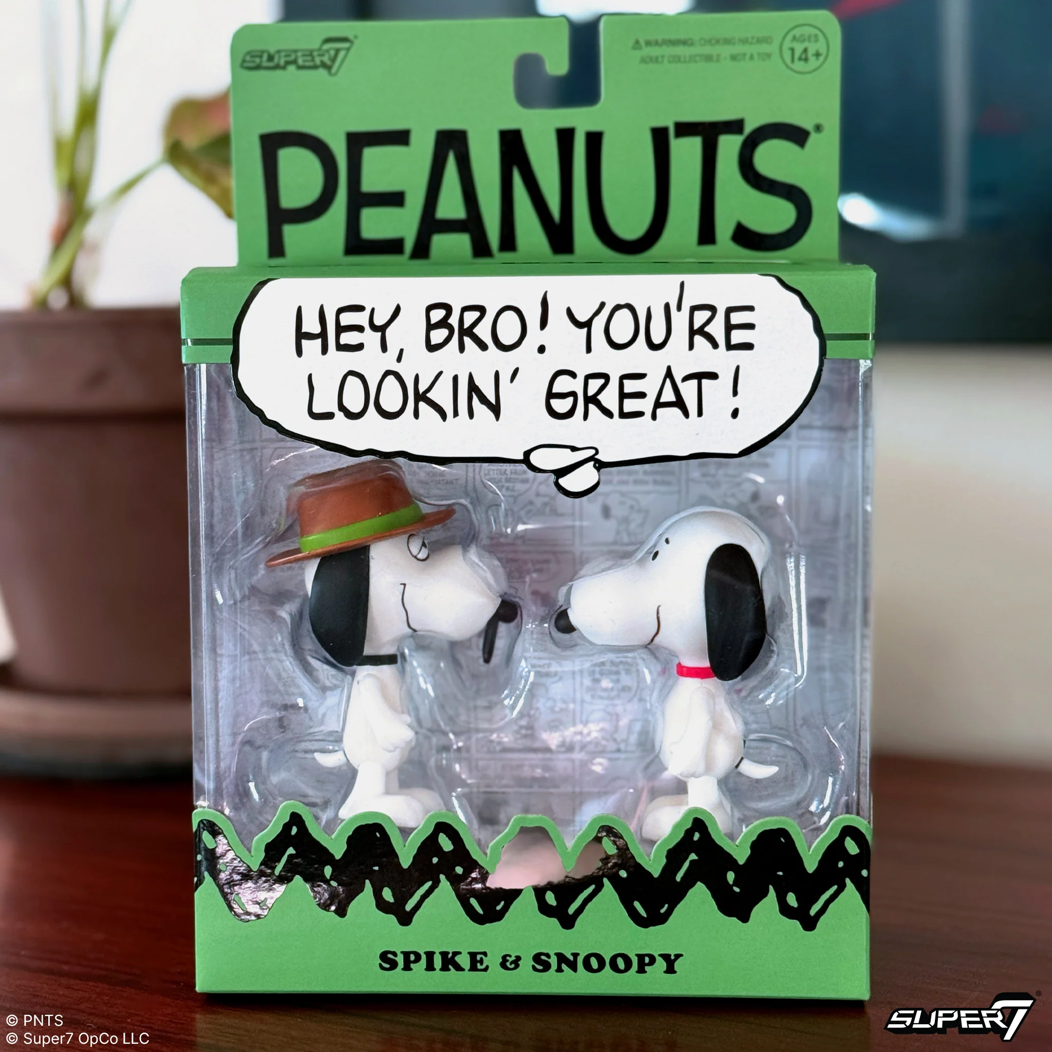 Peanuts Siblings Bundle - Snoopy & Spike, Olaf & Andy and Family Hoodie - Image 4