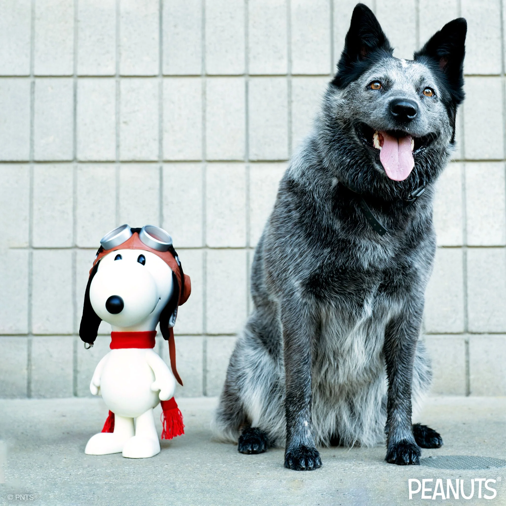Peanuts SuperSize Vinyl Figure - Snoopy Flying Ace [Doghouse Box] - Image 8