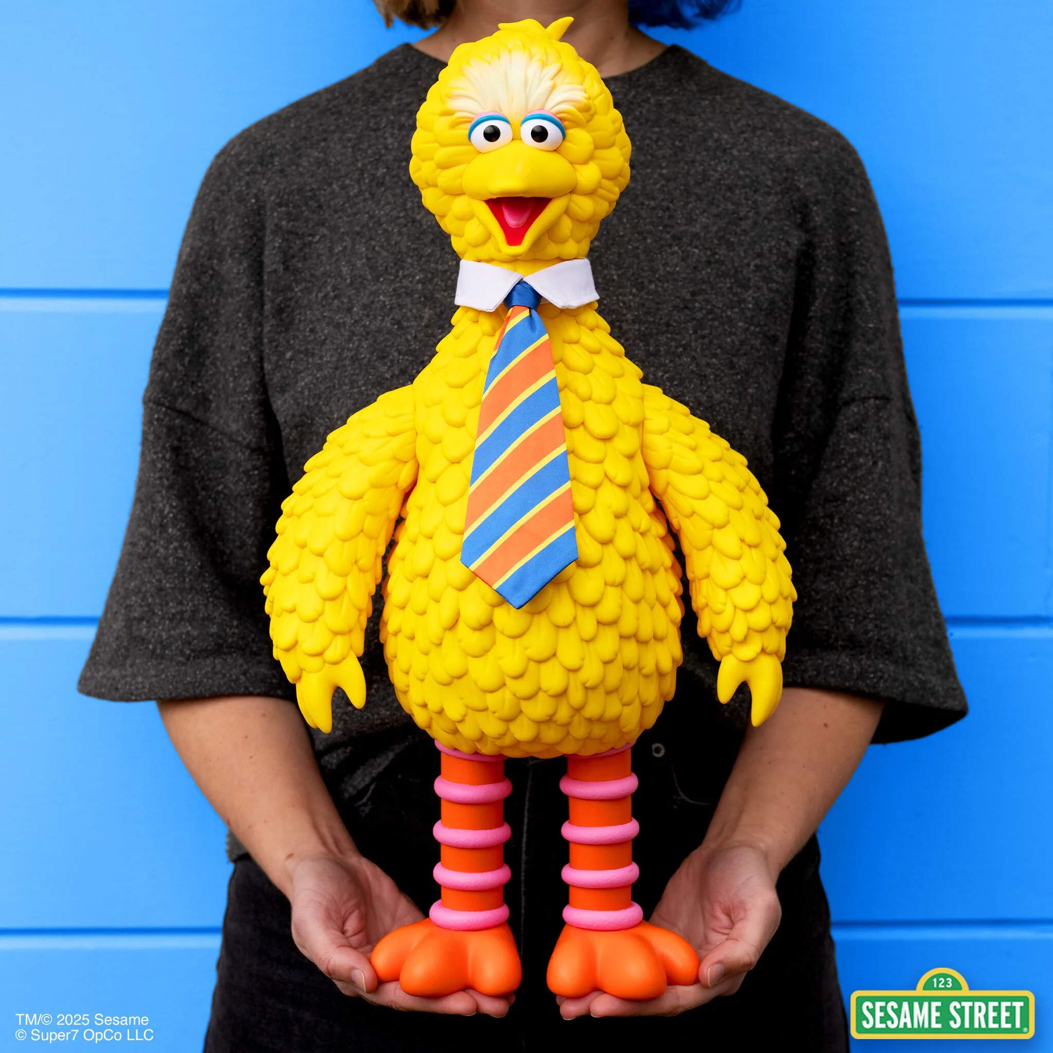 Sesame Street SuperSize Vinyl - Big Bird - Image 3